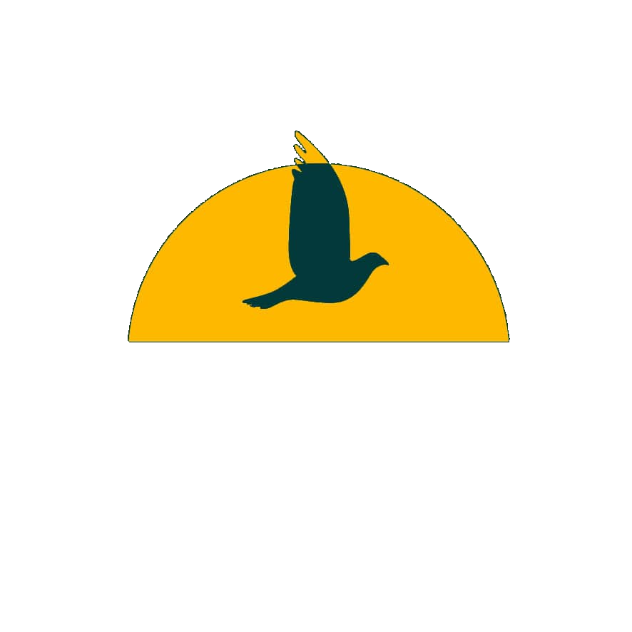 Elhaneman