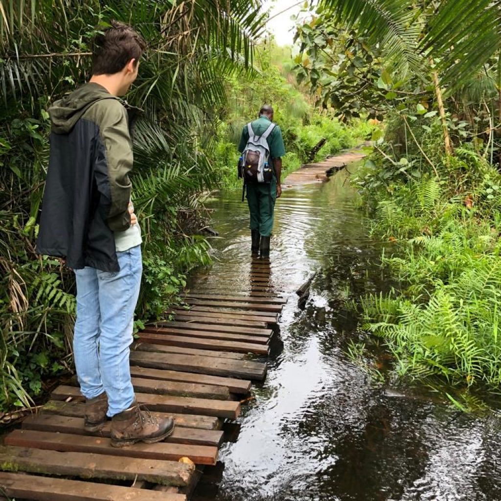 Nature walk