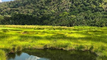 semuliki national park